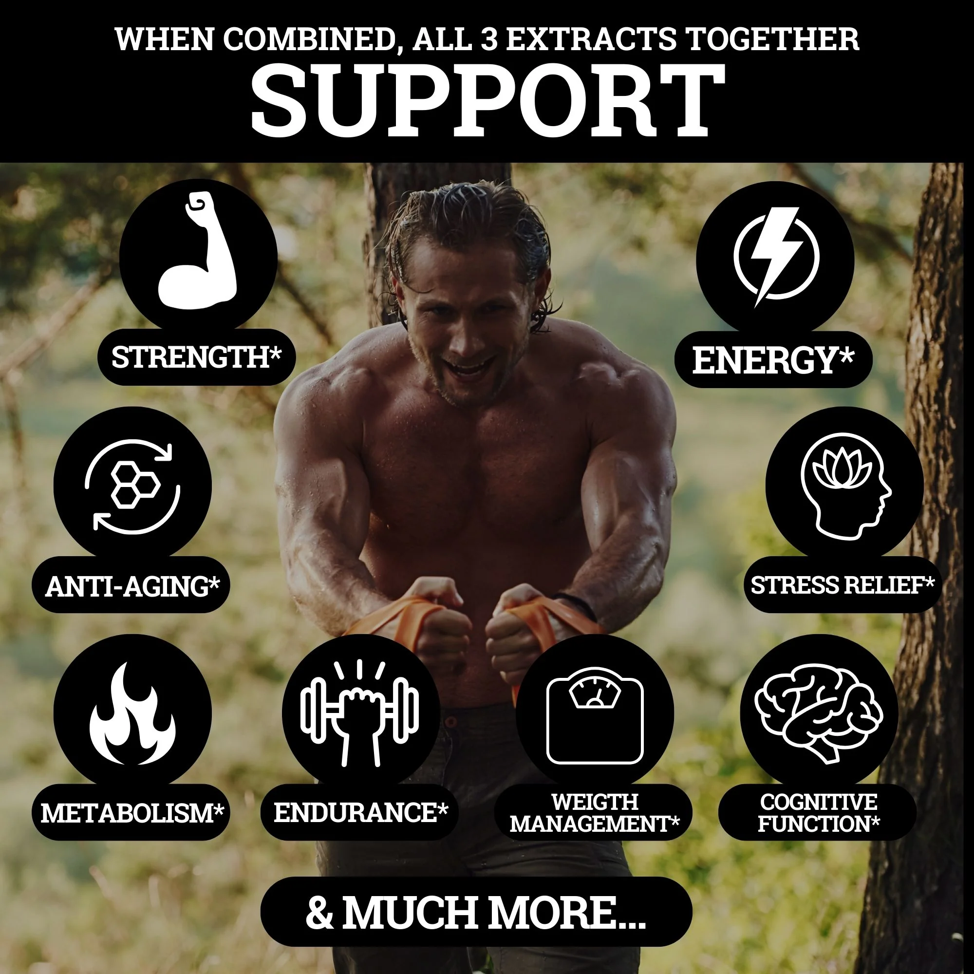 2 Month Supplement Survival Kit - Image 3
