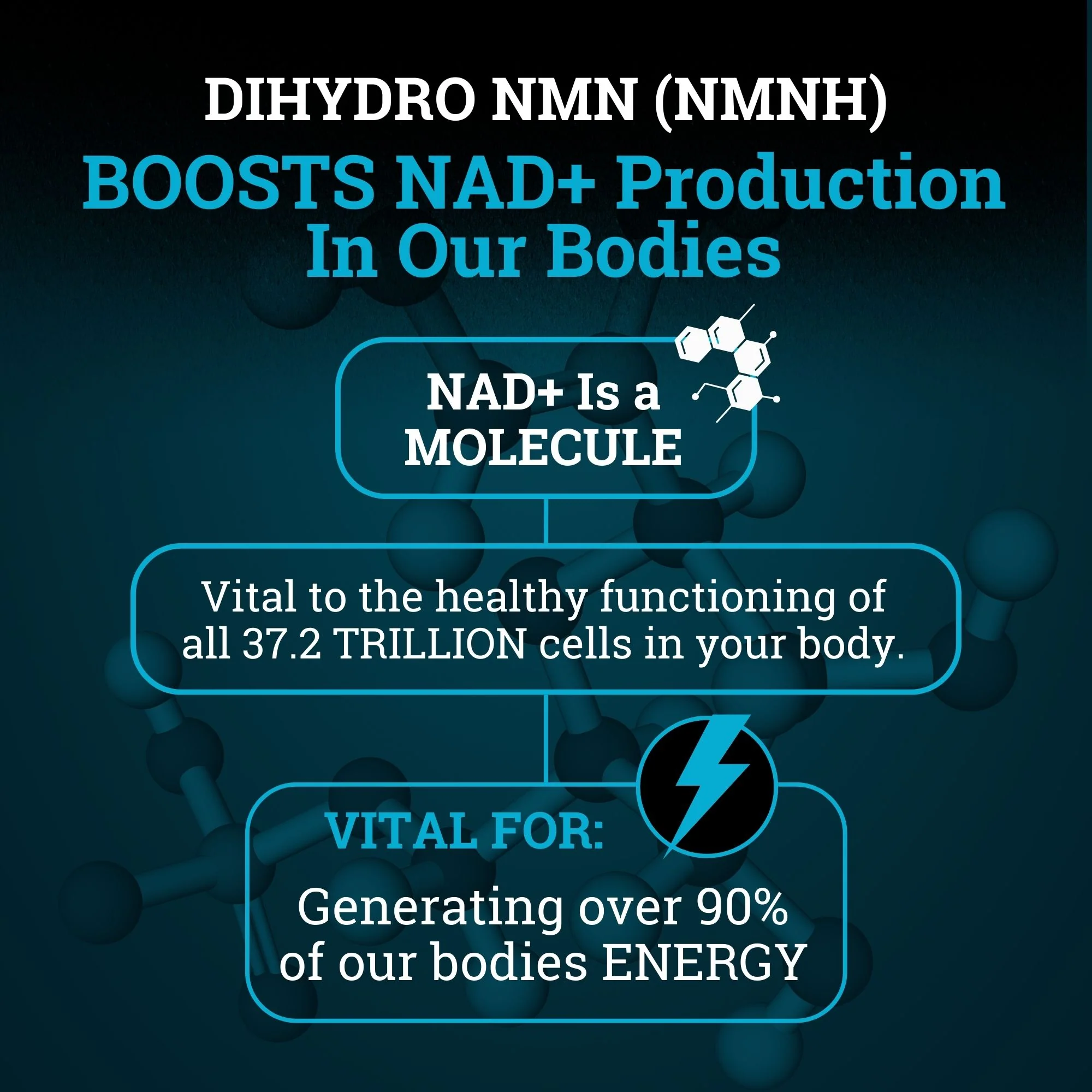 Black Forest NMNH 250MG | Enhanced with BioPerine® for 3X Absorption - Image 3