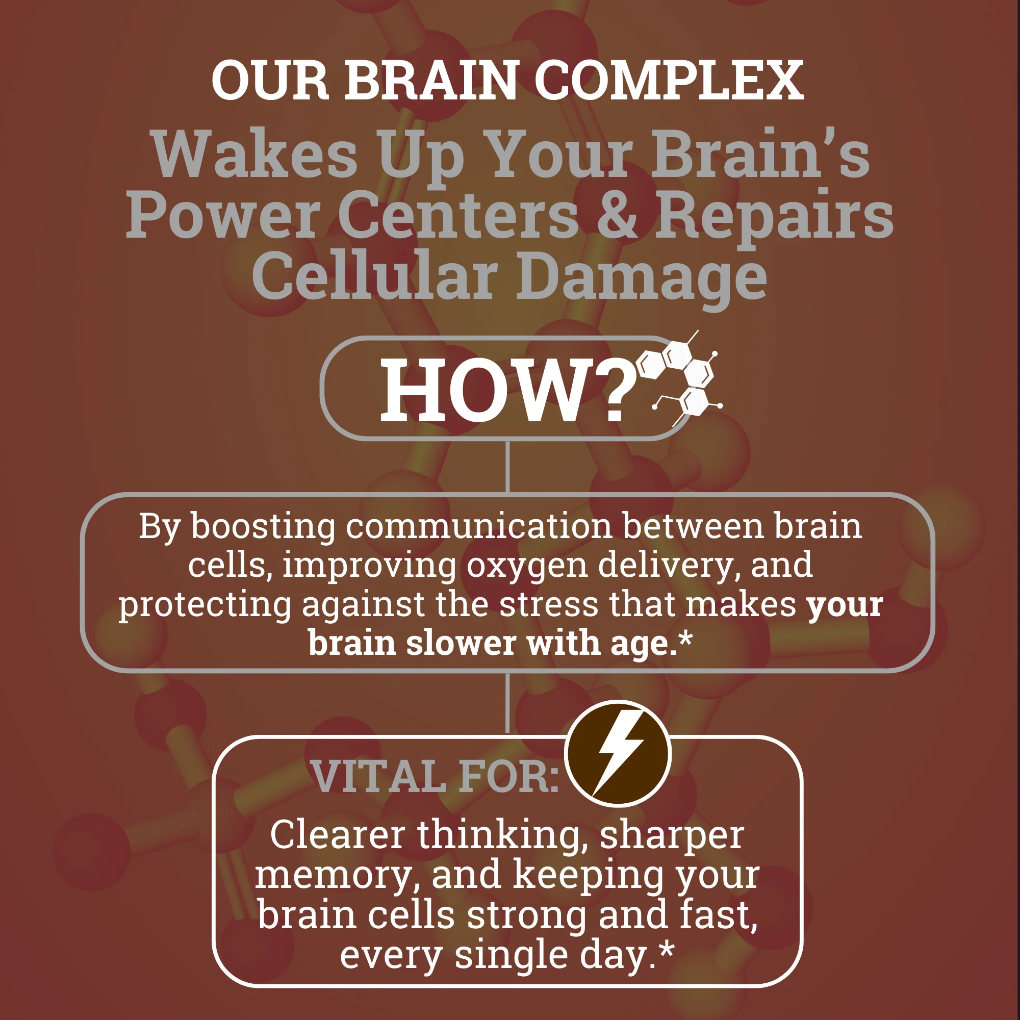 Brain Complex (4-IN-1 Natural Nootropic) - Image 7