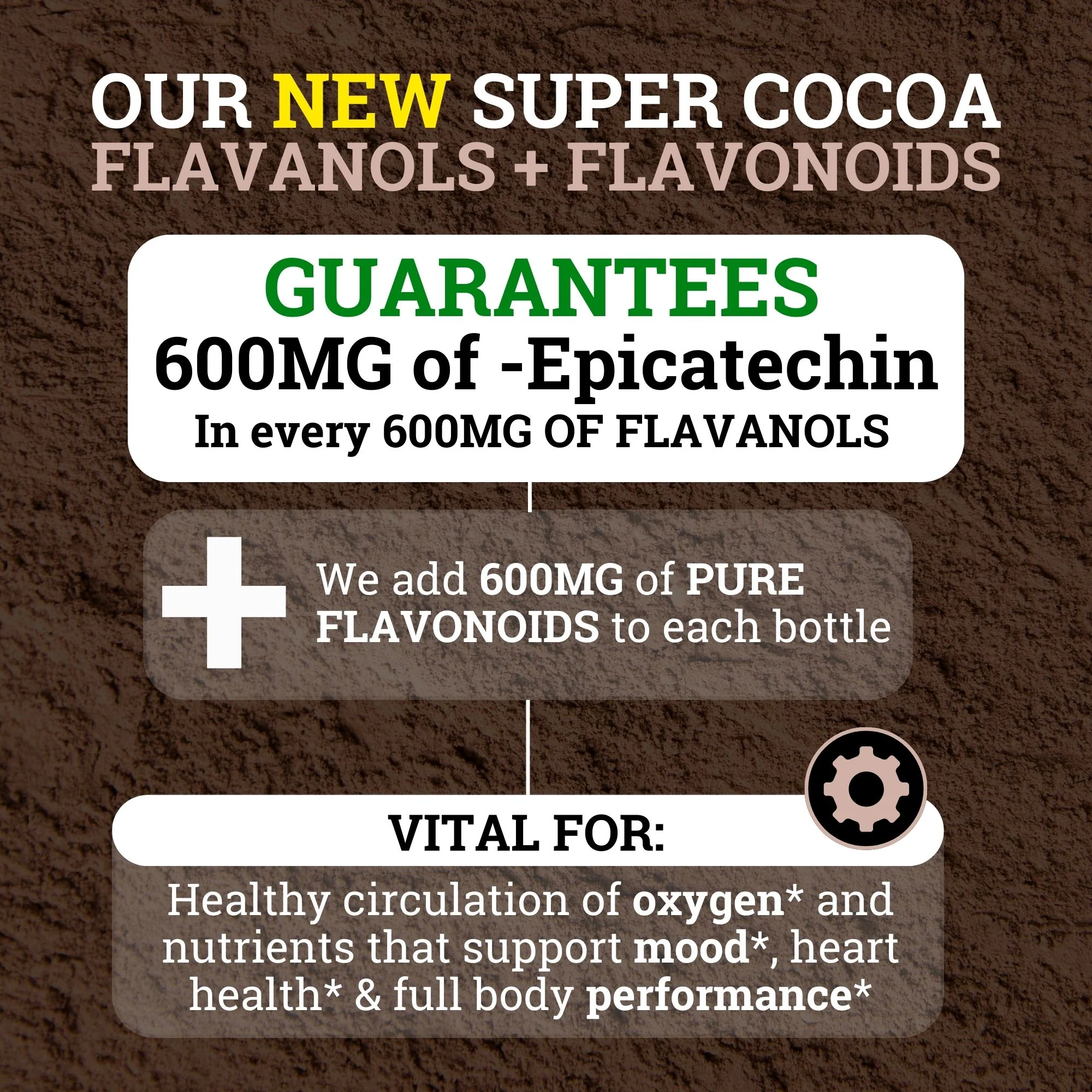 Supercharged Cocoa Flavanols (1 Month Supply) - Image 3